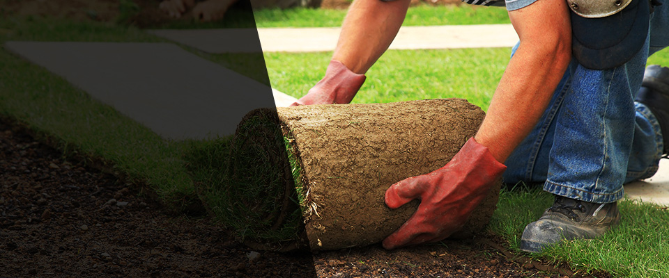 Daleville Landscapers